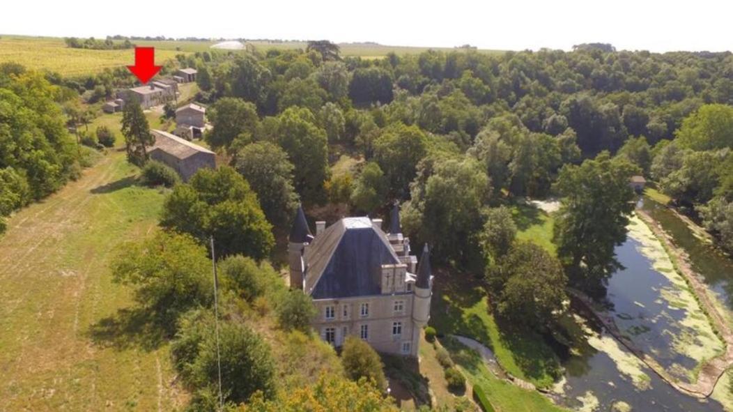 Château des Loups - Les Cèdres Bleus Echire Exterior foto
